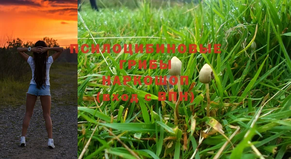 мяу мяу мука Нефтегорск