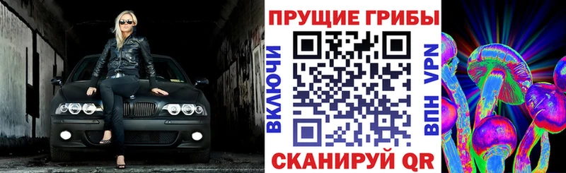 где купить наркоту  Обоянь  Псилоцибиновые грибы Magic Shrooms 